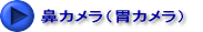 �@�J�����i�݃J�����j